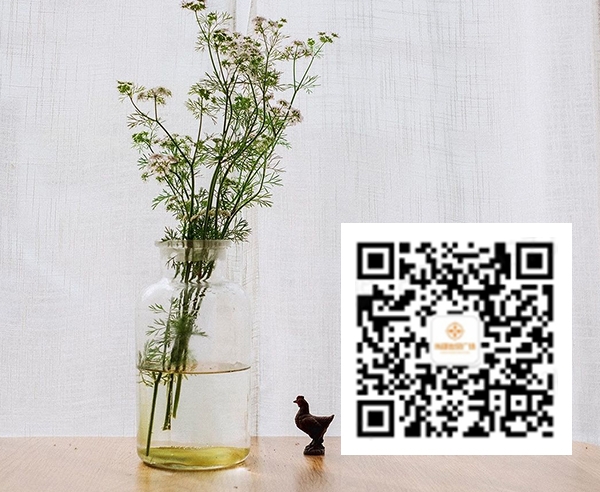 东瓯优品